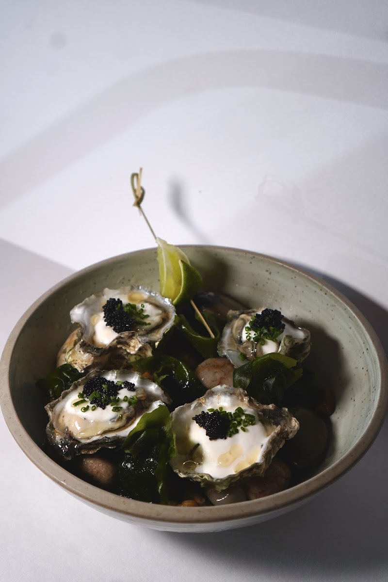 El Pez Kitchen & Sushi Photos 2